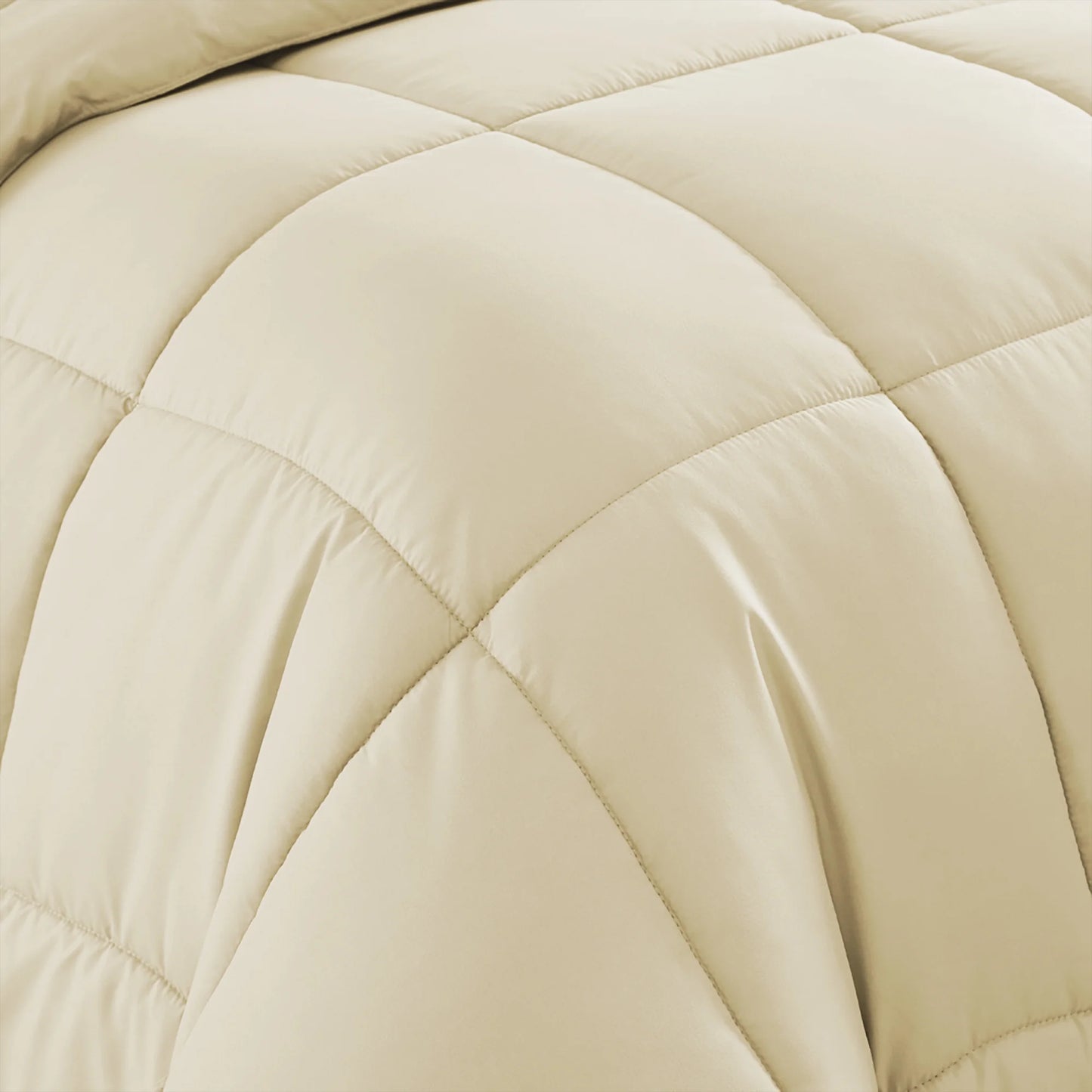 Luxury Cream 5-Piece Bed in a Bag down Alternative Comforter Set, Twin