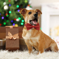 Dog Bowtie Collars Personalized Metal Buckle,Dog Collar Heavy Duty for Large/Medium/Small Size Dogs&Cats Male/Female,Waterproof (Red, L)